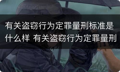 有关盗窃行为定罪量刑标准是什么样 有关盗窃行为定罪量刑标准是什么样的