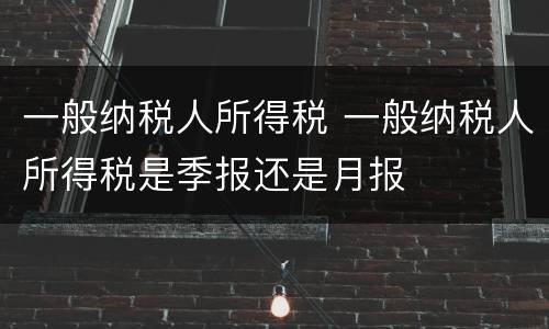 一般纳税人所得税 一般纳税人所得税是季报还是月报