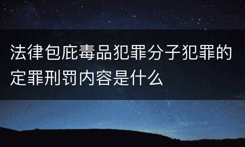 法律包庇毒品犯罪分子犯罪的定罪刑罚内容是什么