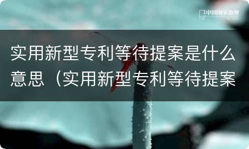 实用新型专利等待提案是什么意思（实用新型专利等待提案后是什么状态）