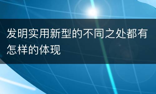 发明实用新型的不同之处都有怎样的体现