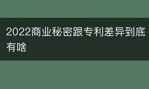 2022商业秘密跟专利差异到底有啥