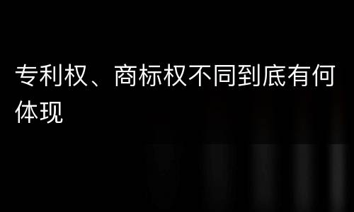 专利权、商标权不同到底有何体现