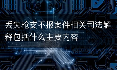 丢失枪支不报案件相关司法解释包括什么主要内容