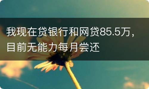 我现在贷银行和网贷85.5万，目前无能力每月尝还