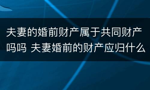 夫妻的婚前财产属于共同财产吗吗 夫妻婚前的财产应归什么所有