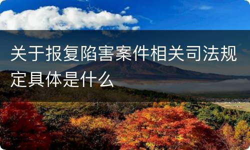 关于报复陷害案件相关司法规定具体是什么