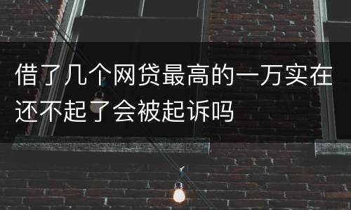 借了几个网贷最高的一万实在还不起了会被起诉吗