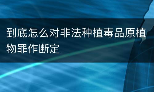 到底怎么对非法种植毒品原植物罪作断定