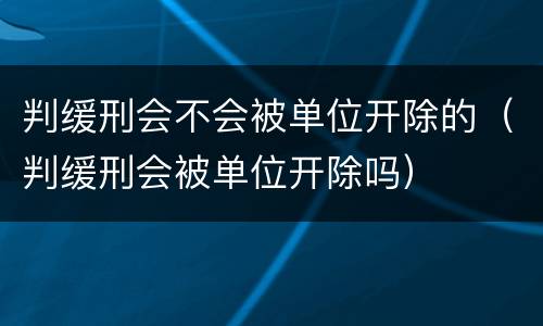 判缓刑会不会被单位开除的（判缓刑会被单位开除吗）