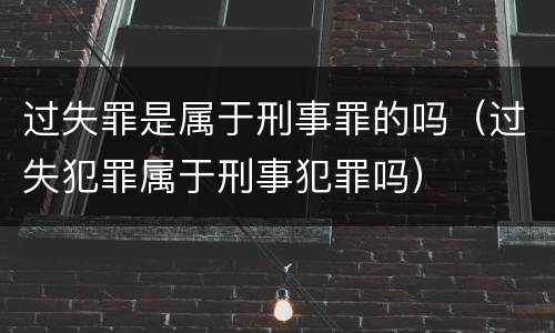 过失罪是属于刑事罪的吗（过失犯罪属于刑事犯罪吗）