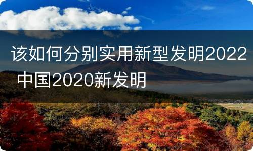 该如何分别实用新型发明2022 中国2020新发明