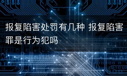 报复陷害处罚有几种 报复陷害罪是行为犯吗