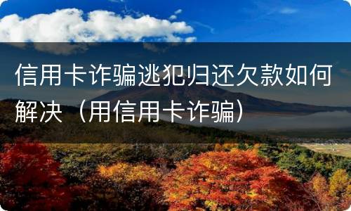 信用卡诈骗逃犯归还欠款如何解决（用信用卡诈骗）