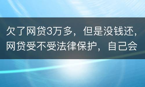 欠了网贷3万多，但是没钱还，网贷受不受法律保护，自己会承担什么责任