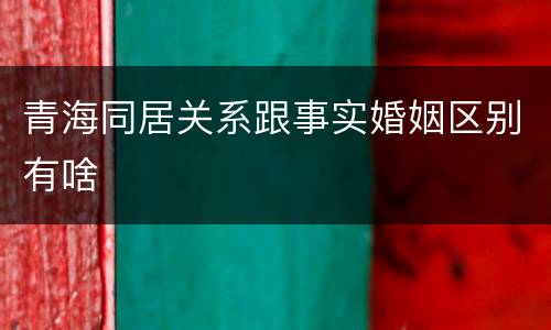 青海同居关系跟事实婚姻区别有啥