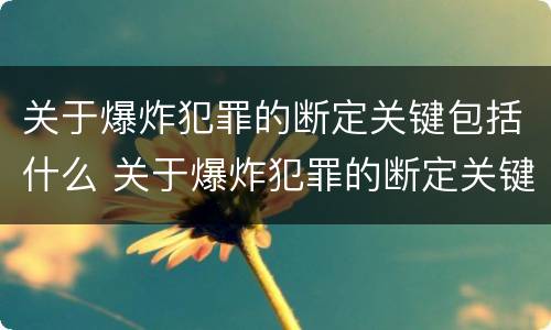 关于爆炸犯罪的断定关键包括什么 关于爆炸犯罪的断定关键包括什么内容