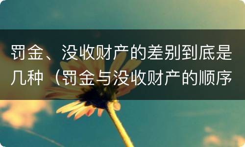 罚金、没收财产的差别到底是几种（罚金与没收财产的顺序）