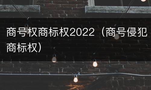 商号权商标权2022（商号侵犯商标权）