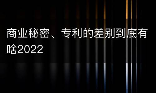 商业秘密、专利的差别到底有啥2022