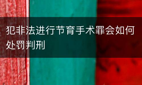 犯非法进行节育手术罪会如何处罚判刑