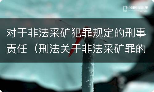 对于非法采矿犯罪规定的刑事责任（刑法关于非法采矿罪的规定）