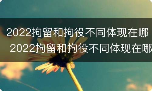 2022拘留和拘役不同体现在哪 2022拘留和拘役不同体现在哪方面