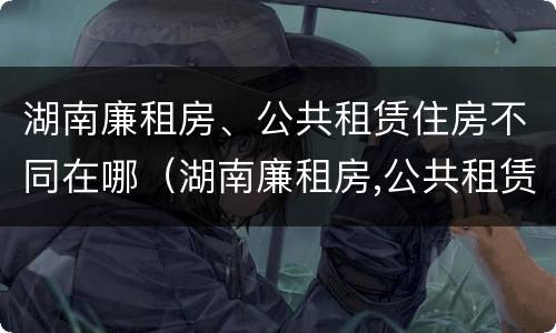 湖南廉租房、公共租赁住房不同在哪（湖南廉租房,公共租赁住房不同在哪里办理）