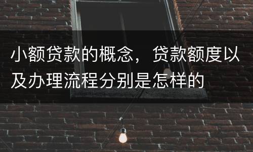 小额贷款的概念，贷款额度以及办理流程分别是怎样的