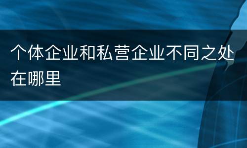 个体企业和私营企业不同之处在哪里