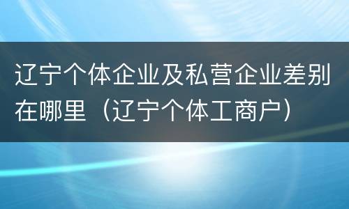 辽宁个体企业及私营企业差别在哪里（辽宁个体工商户）