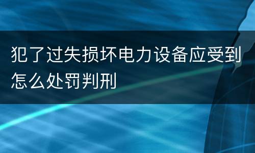 犯了过失损坏电力设备应受到怎么处罚判刑