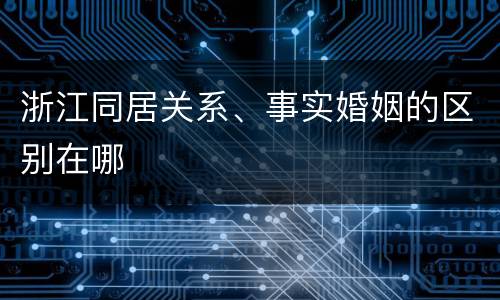 浙江同居关系、事实婚姻的区别在哪