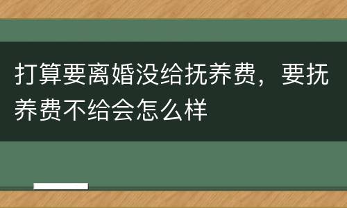 打算要离婚没给抚养费，要抚养费不给会怎么样