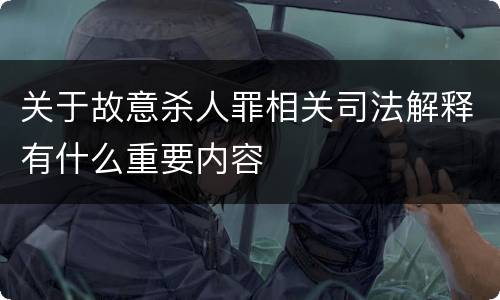 关于故意杀人罪相关司法解释有什么重要内容