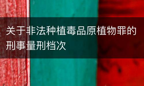 关于非法种植毒品原植物罪的刑事量刑档次