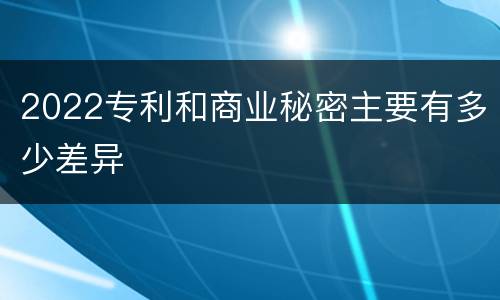 2022专利和商业秘密主要有多少差异