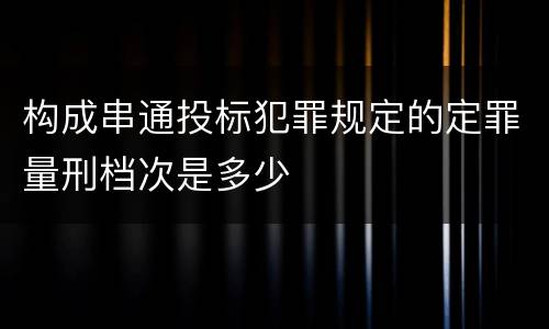 构成串通投标犯罪规定的定罪量刑档次是多少