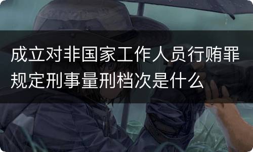 成立对非国家工作人员行贿罪规定刑事量刑档次是什么