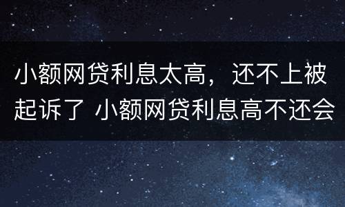 小额网贷利息太高，还不上被起诉了 小额网贷利息高不还会有什么后果