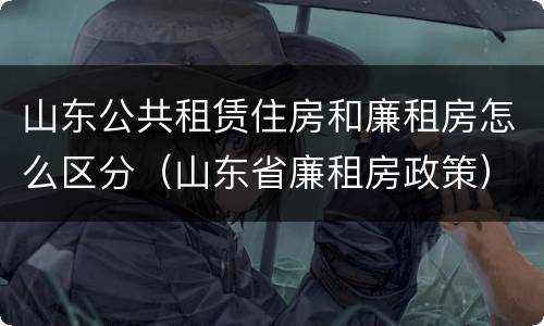 山东公共租赁住房和廉租房怎么区分（山东省廉租房政策）