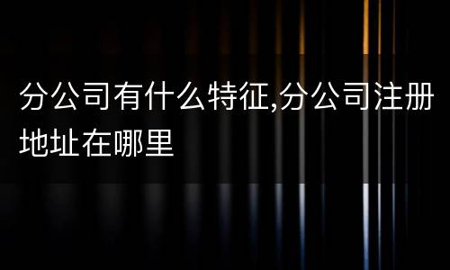 分公司有什么特征,分公司注册地址在哪里