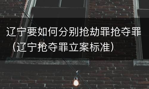 辽宁要如何分别抢劫罪抢夺罪（辽宁抢夺罪立案标准）