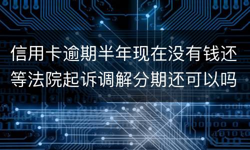 信用卡逾期半年现在没有钱还等法院起诉调解分期还可以吗