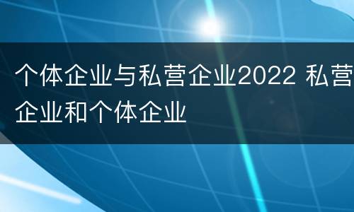 个体企业与私营企业2022 私营企业和个体企业