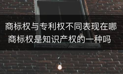 商标权与专利权不同表现在哪 商标权是知识产权的一种吗