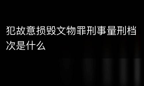 犯故意损毁文物罪刑事量刑档次是什么