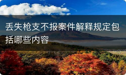 丢失枪支不报案件解释规定包括哪些内容