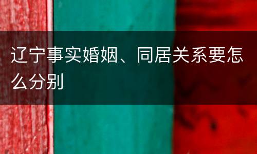 辽宁事实婚姻、同居关系要怎么分别