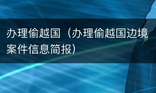 办理偷越国（办理偷越国边境案件信息简报）